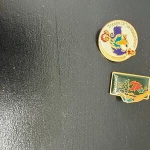 Olympic Hat Pins 1996 Games Atlanta Georgia Diving & Triumph Of The Human Spirit